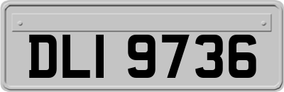 DLI9736