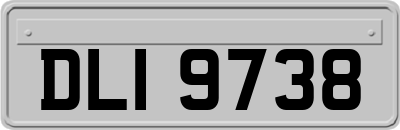 DLI9738