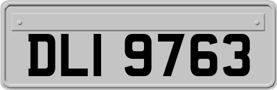 DLI9763
