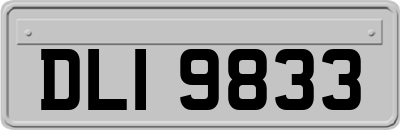 DLI9833