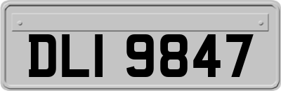 DLI9847