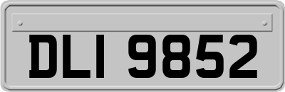 DLI9852
