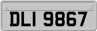 DLI9867