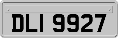 DLI9927