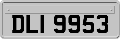 DLI9953