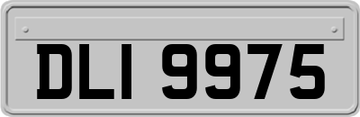 DLI9975