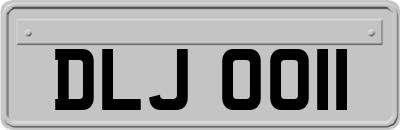DLJ0011