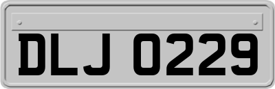 DLJ0229
