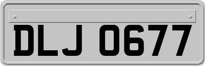 DLJ0677