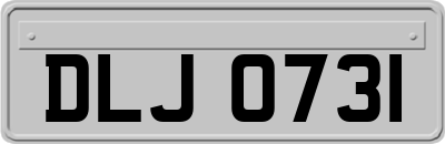 DLJ0731