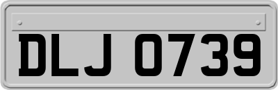 DLJ0739
