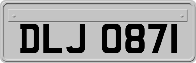 DLJ0871