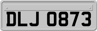 DLJ0873