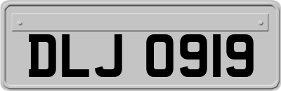 DLJ0919