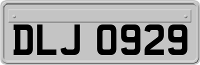 DLJ0929