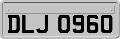DLJ0960