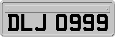 DLJ0999