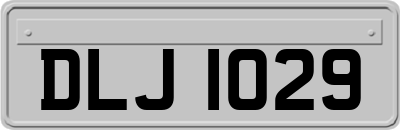 DLJ1029