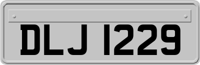 DLJ1229