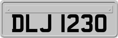 DLJ1230