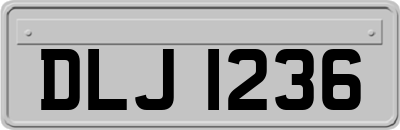DLJ1236