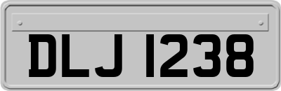 DLJ1238