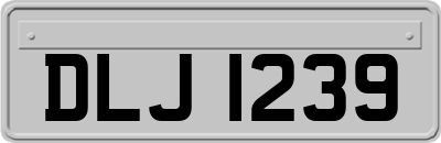 DLJ1239