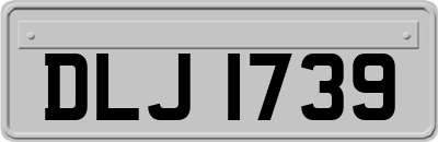 DLJ1739