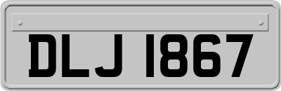 DLJ1867