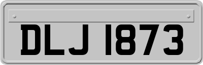 DLJ1873