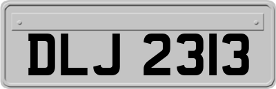 DLJ2313