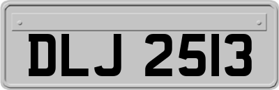 DLJ2513