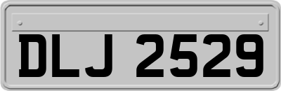 DLJ2529