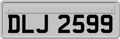 DLJ2599