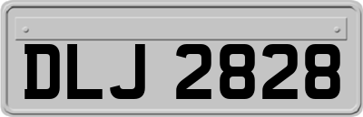 DLJ2828