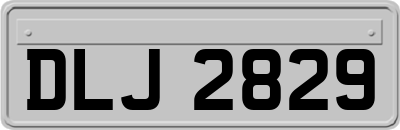 DLJ2829