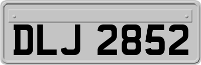 DLJ2852