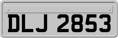 DLJ2853