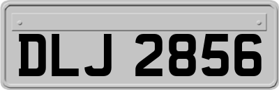 DLJ2856