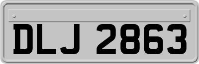DLJ2863