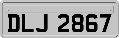 DLJ2867