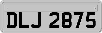 DLJ2875