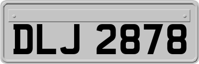 DLJ2878