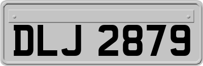 DLJ2879