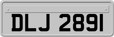 DLJ2891
