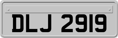 DLJ2919