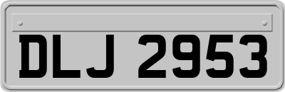 DLJ2953