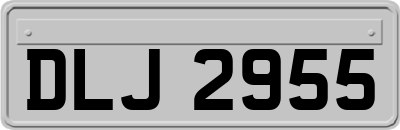 DLJ2955