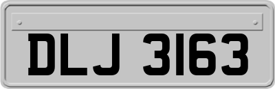 DLJ3163