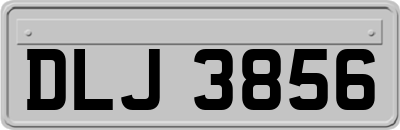 DLJ3856